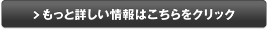 プログラミングスクール【Code Village】販売サイトへ